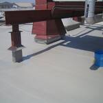 CC-Bonaire-007-2